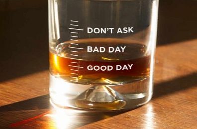 Good Day, Bad Day Tumbler 5170S