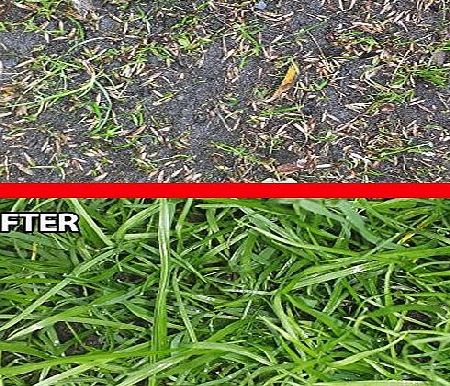 GoodGrow Hard Wearing Grass Seed and Feed. Premium Grass Seed amp; Fertiliser. Fast Growing, Tough amp; UK Tailored for Lush Green Lawns in Sun or Shade. Quality Grass Seed amp; Organic Feed.