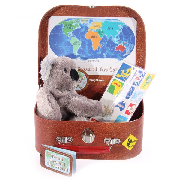 Koala in Suitcase
