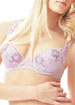 Embroidered Lace padded plunge underwired bra