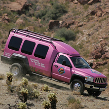 Canyon South Rim Jeep Tour - Adult