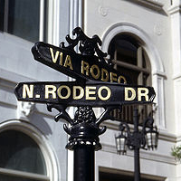 Grand Tour of Los Angeles and Movie Stars