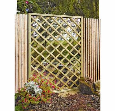 Garden Mirror Lattice Screen