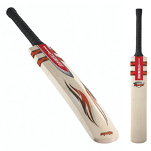 GRAY-NICOLLS Ignite Pro Performance Cricket Bat