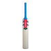 GRAY-NICOLLS Nitro Atomic Cricket Bat