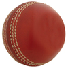 GRAY-NICOLLS Reverse Swing Cricket Ball (546604/5)