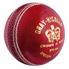 SPECIAL CROWN LEATHER CRICKET BALL