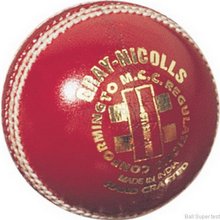 Gray Nicolls Super Test Cricket Ball