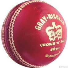 Gray Nicolls Warrior Ball