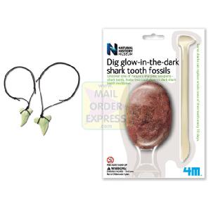 Great Gizmos 4M Natural History Museum Dig a Glow Sharks Tooth Fossils