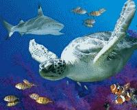 great yarmouth SEA LIFE Centre Pass Student Ticket