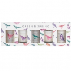 GREEN and SPRING BODYCARE GIFT SET (5 PRODUCTS)