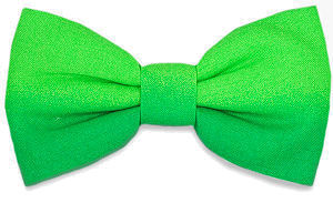 green Two Tone Bow Tie