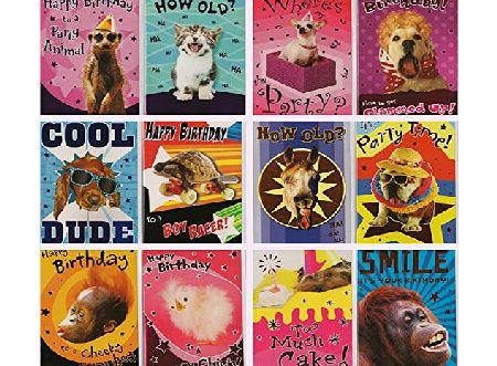 Greetingles 12 Animal Antics - Crazy fun animal birthday cards- 12 Assorted