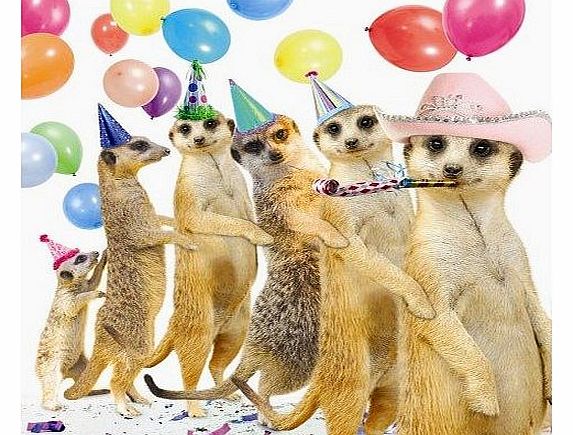 Greetings Cards Conga Meerkats Birthday Card