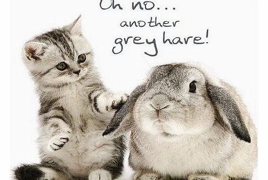 Grey Hares! Birthday Card