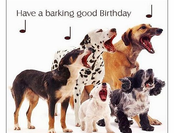 Greetings Cards Mixed Dogs ``Dog Song`` Birthday Card