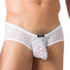 Gregg Homme Appeal Boxer Brief