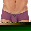 Gregg Homme Baller Boxer Brief