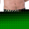 Gregg Homme commando boxer brief