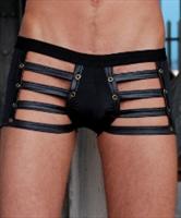 Gregg Homme Cruise Biker