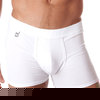 Gregg Homme heaven boxer brief