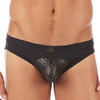 Gregg Homme Impulse Brief