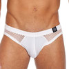 Gregg Homme No Doubt Brief