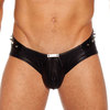Gregg Homme Rockstar Brief