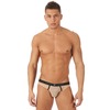 Gregg Homme Torrid NEW Briefs