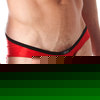Gregg Homme Voyeur brief
