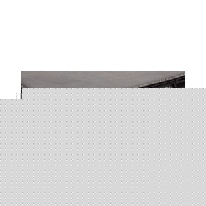 Elan Folio Case for iPad 2