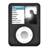 griffin Leather Elan Form Case For iPod Nano