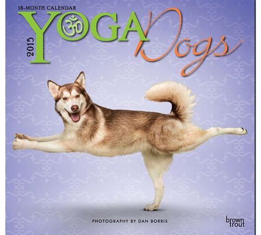 Grindstore Yoga Dogs 2015 Wall Calendar