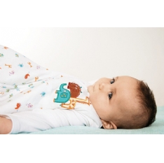 Gro-Group Grobag Baby Sleeping Bags (2.5 tog)
