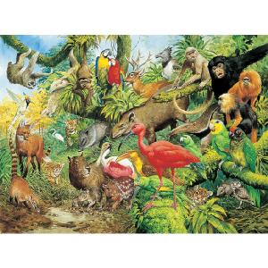 Grovely Jigsaws James Hamilton Grovely Puzzles Mata Atlantica 1000 Piece Jigsaw Puzzle