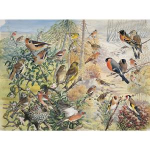 Grovely Jigsaws James Hamilton Grovely Puzzles The Finches 1500 Piece Jigsaw Puzzle