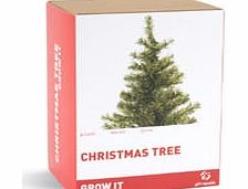 grow your own Christmas Tree