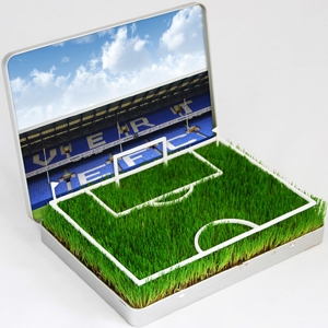 Everton Football Pitch - Goodison