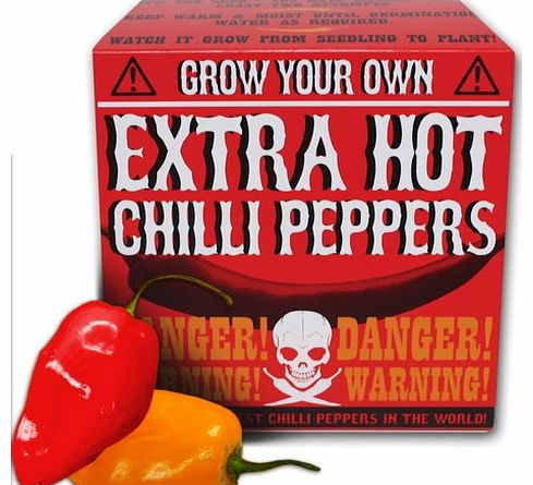 Extra Hot Chilli Peppers
