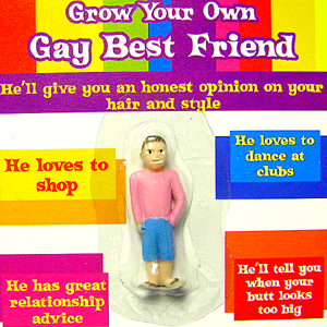 grow your own Gay Best Friend