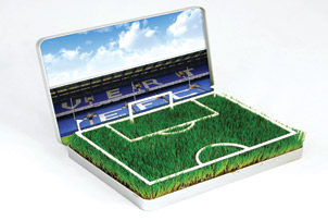 grow your own Goodison Park Pitch
