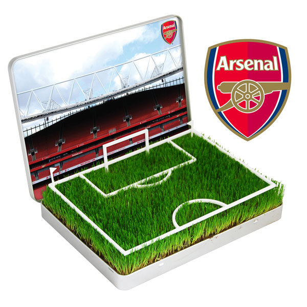 Mini Football Pitch Arsenal