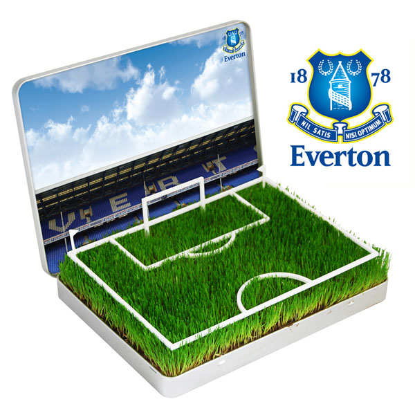 Mini Football Pitch Everton