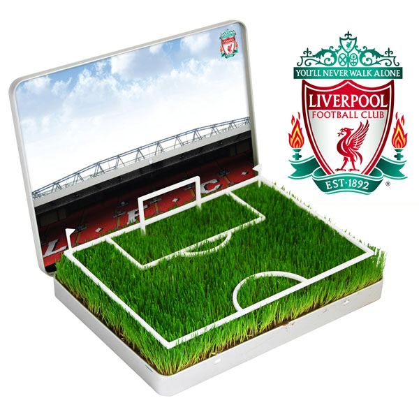 Mini Football Pitch Liverpool