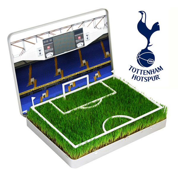 Mini Football Pitch Tottenham