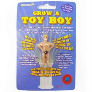 Grow Your Own Toy Boy