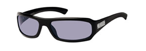 Gucci 1479 Sunglasses