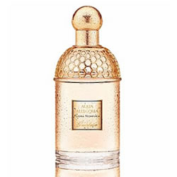 Guerlain Aqua Allegoria Flora Nymphea EDT by Guerlain 75ml