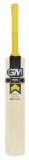Gunn & Moore Gun and Moore Hero DXM 606 Now English Willow Cricket bat Harrow